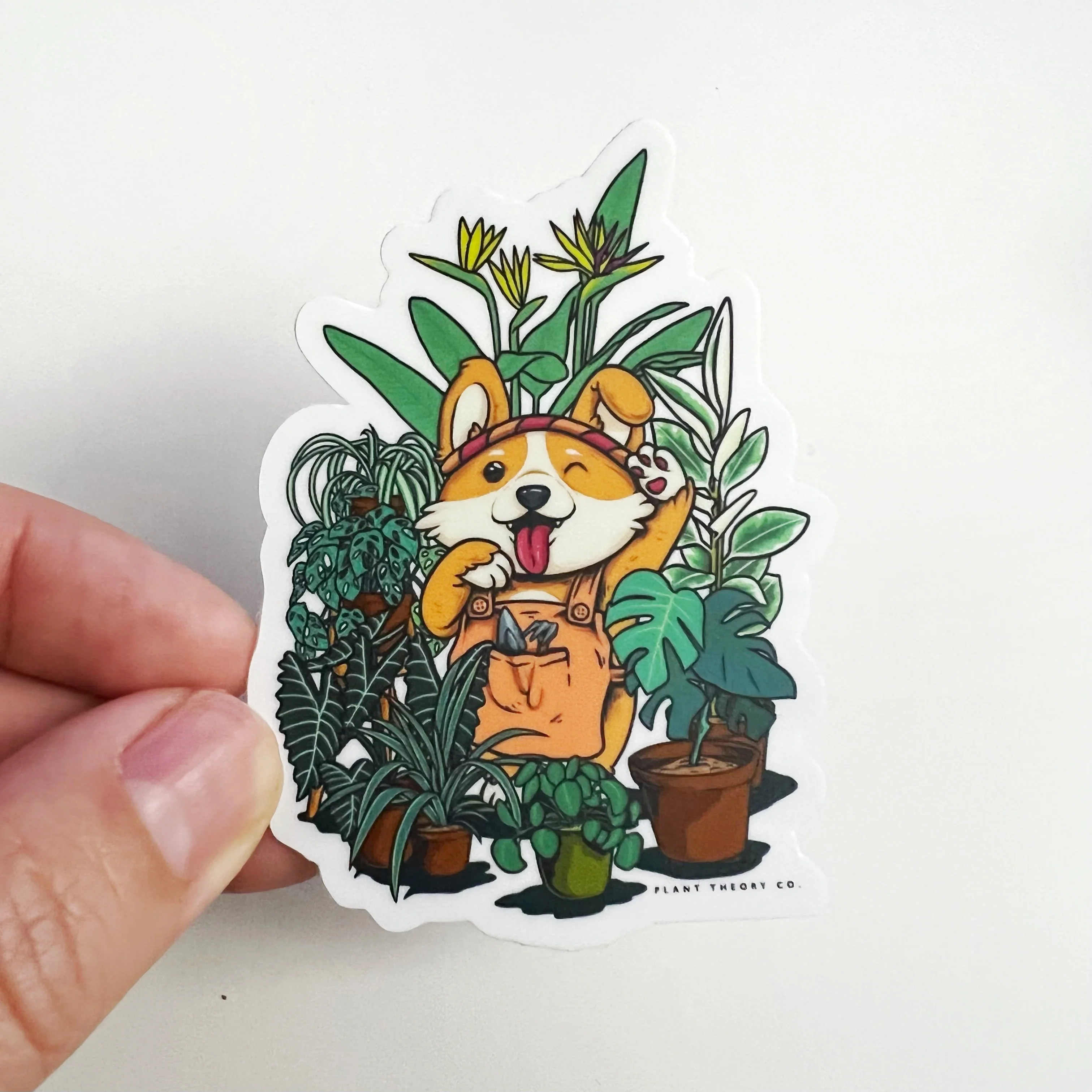 Plant Theory Co.